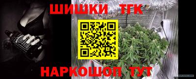 СК Будённовск
