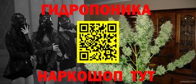 стафф Бузулук