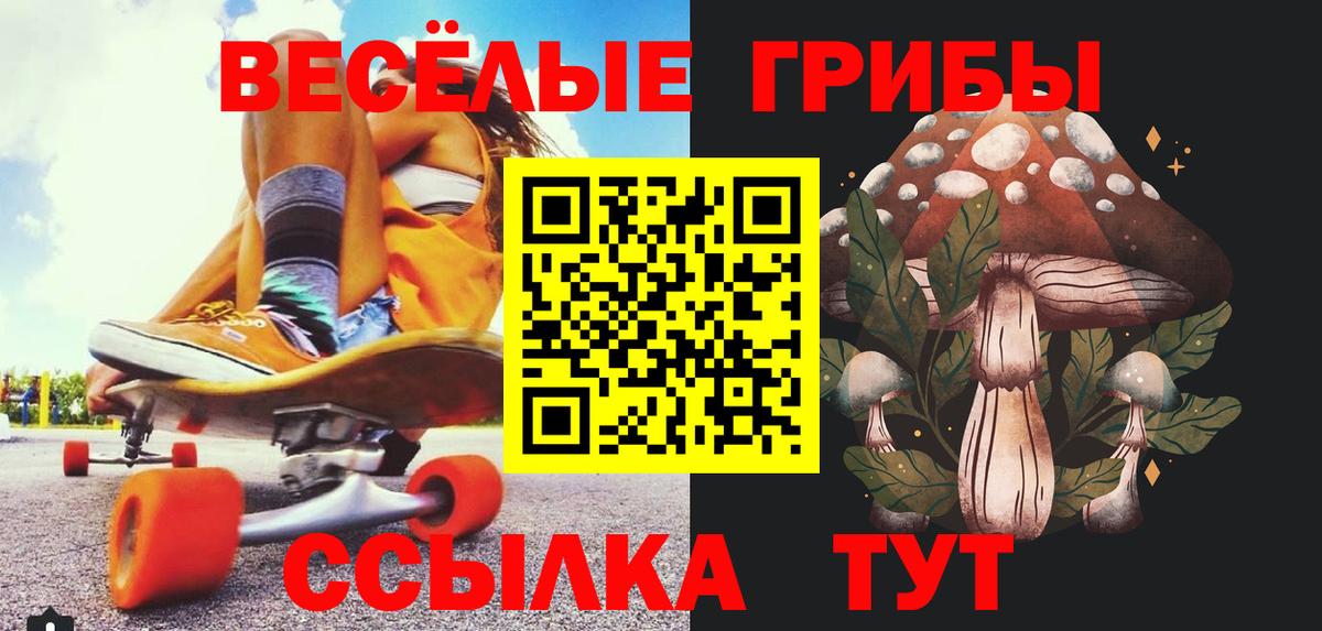 Псилоцибиновые грибы мицелий Усинск